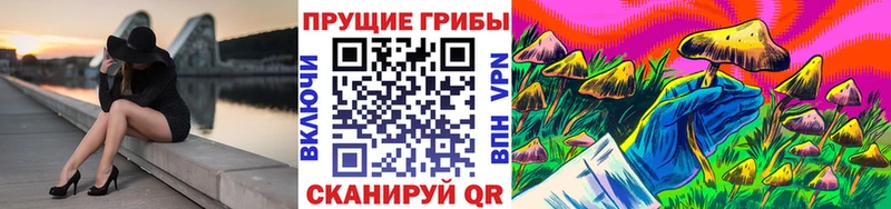 где купить   Мамадыш  Галлюциногенные грибы ЛСД 